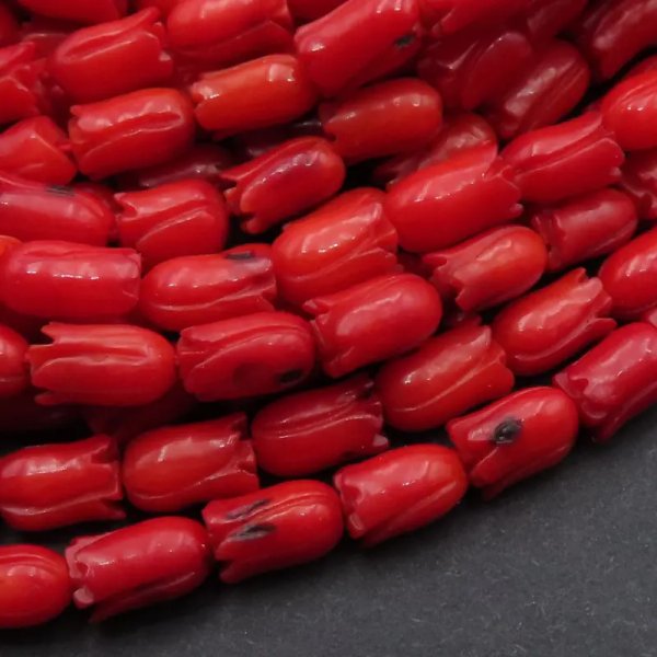 Koral czerwony tulipan 8x5 mm (sznur) - drugi gatunek