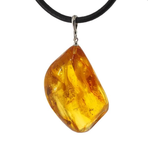 duży komar i szczątki roślinne w bursztynie i srebro - zawieszka