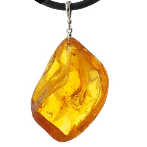 duży komar i szczątki roślinne w bursztynie i srebro - zawieszka