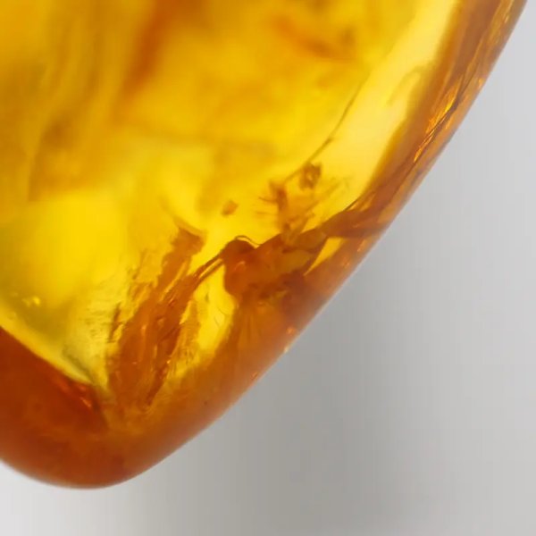 duży komar i szczątki roślinne w bursztynie i srebro - zawieszka