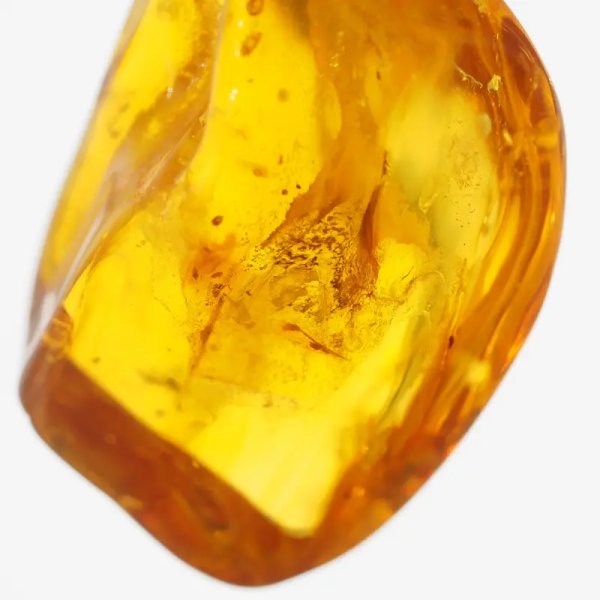 duży komar i szczątki roślinne w bursztynie i srebro - zawieszka