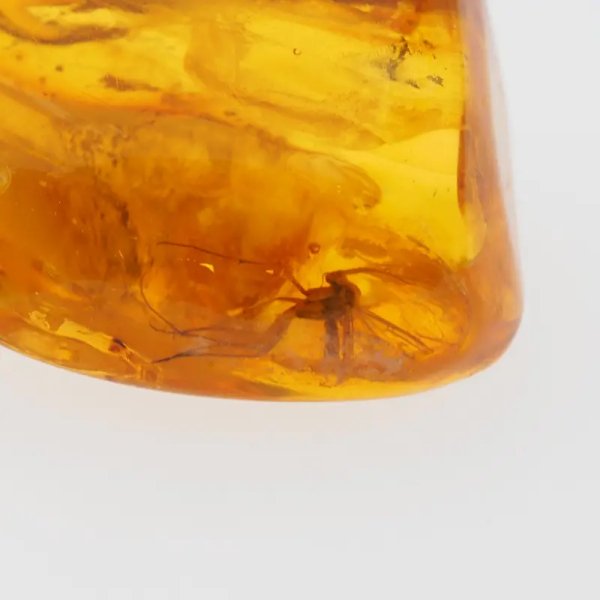 duży komar i szczątki roślinne w bursztynie i srebro - zawieszka