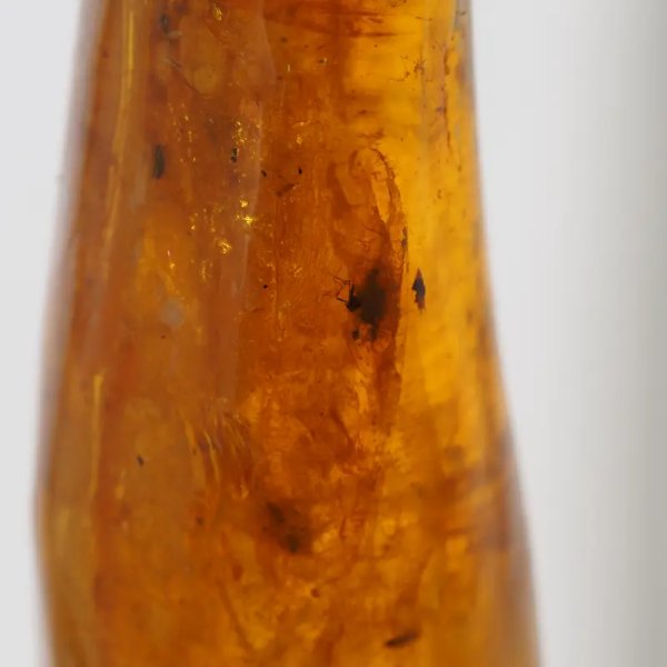 Owady w bursztynie (muchy i komary) i srebro - wisiorek z rzemieniem