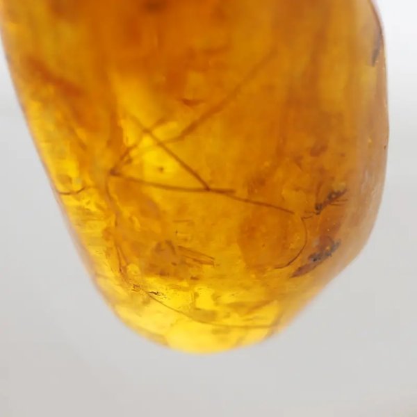 Owady w bursztynie (muchy i komary) i srebro - wisiorek z rzemieniem