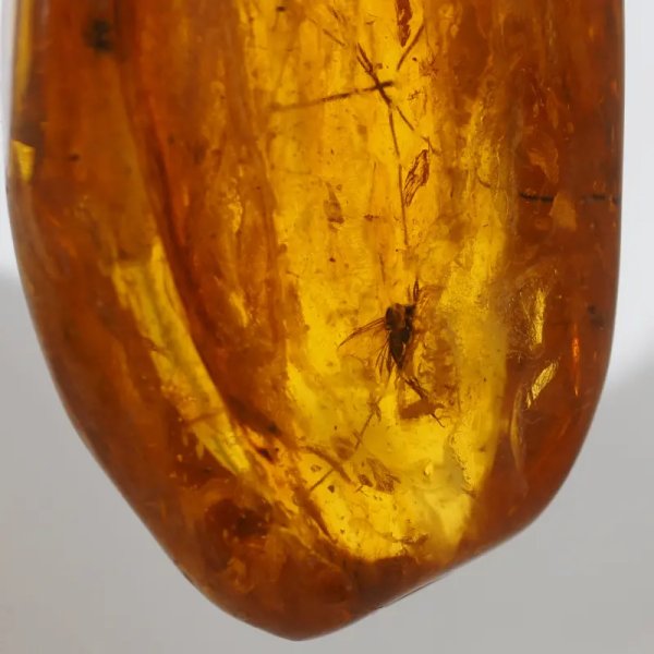 Owady w bursztynie (muchy i komary) i srebro - wisiorek z rzemieniem