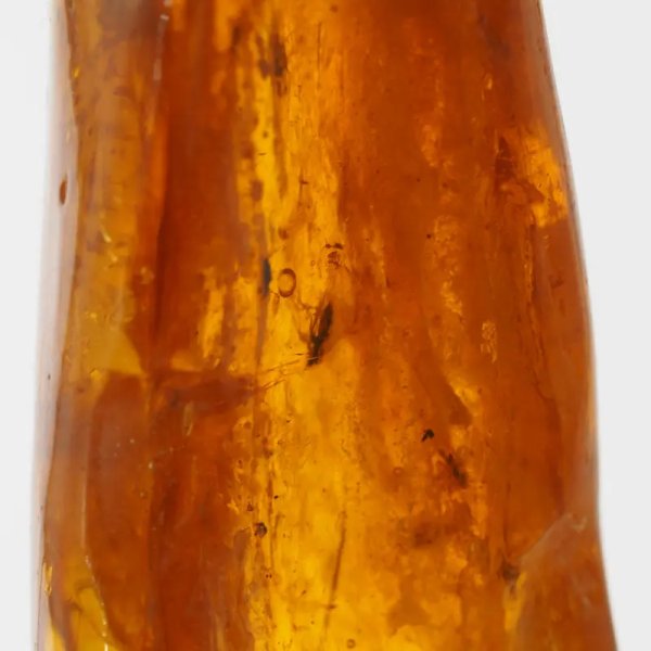 Owady w bursztynie (muchy i komary) i srebro - wisiorek z rzemieniem