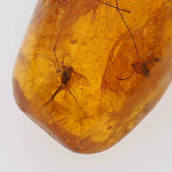 Owady w bursztynie (muchy i komary) i srebro - wisiorek z rzemieniem
