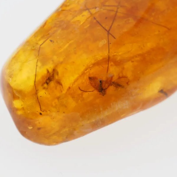Owady w bursztynie (muchy i komary) i srebro - wisiorek z rzemieniem