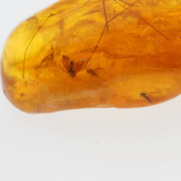 Owady w bursztynie (muchy i komary) i srebro - wisiorek z rzemieniem