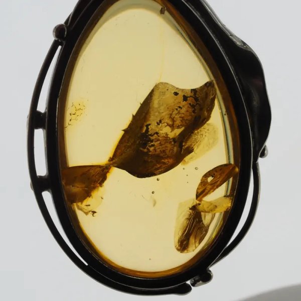 Przezroczysty bursztyn z szczątkami roślinnymi  i srebro oksydowane - wisiorek