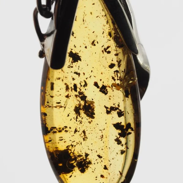 Przezroczysty bursztyn z szczątkami organicznymi  i srebro oksydowane - wisiorek