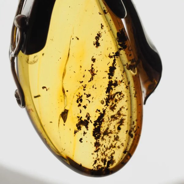 Przezroczysty bursztyn z szczątkami organicznymi  i srebro oksydowane - wisiorek