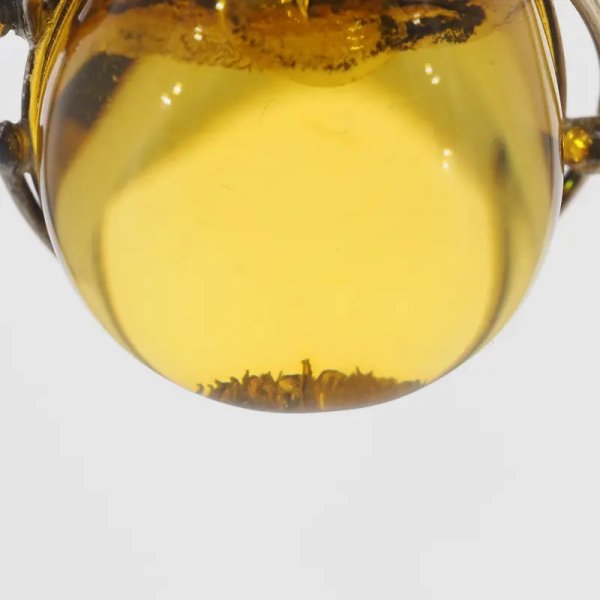 Przezroczysty bursztyn z szczątkami roślinnymi  i srebro oksydowane - wisiorek