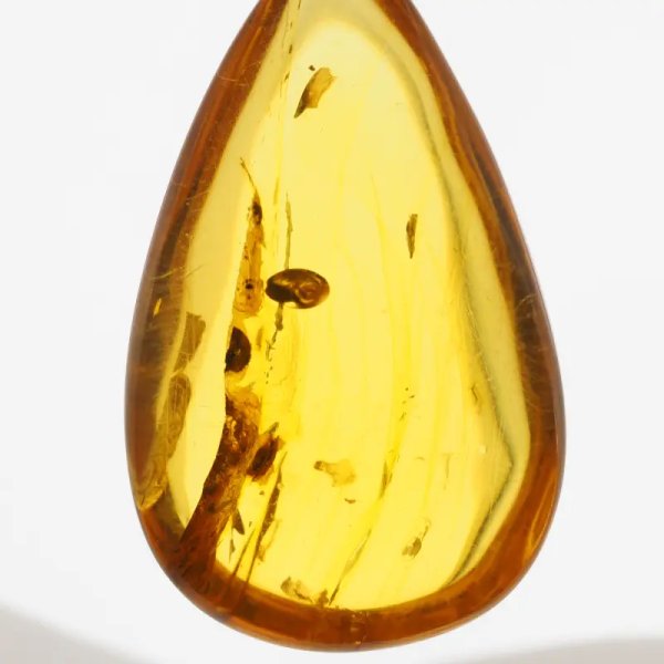 Bursztyn przezroczysty, szczątki roślinne i srebro oksydowane - zawieszka