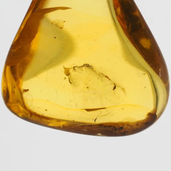 Bursztyn przezroczysty, szczątki roślinne i srebro oksydowane - zawieszka trójkąt