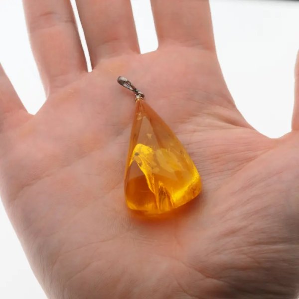 Bursztyn przezroczysty, szczątki roślinne i srebro oksydowane - zawieszka trójkąt