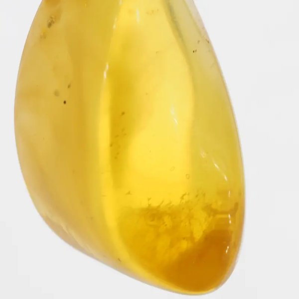 Bursztyn przezroczysty, szczątki roślinne i srebro oksydowane - zawieszka