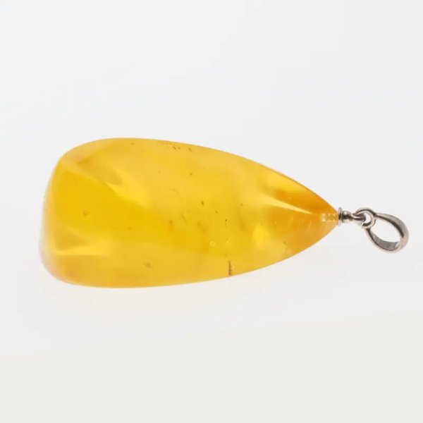 Bursztyn przezroczysty, szczątki roślinne i srebro oksydowane - zawieszka