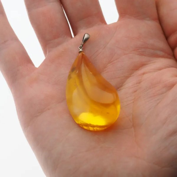 Bursztyn przezroczysty, szczątki roślinne i srebro oksydowane - zawieszka