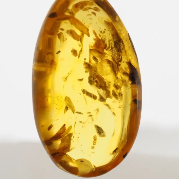 Bursztyn przezroczysty, szczątki roślinne i srebro oksydowane - zawieszka