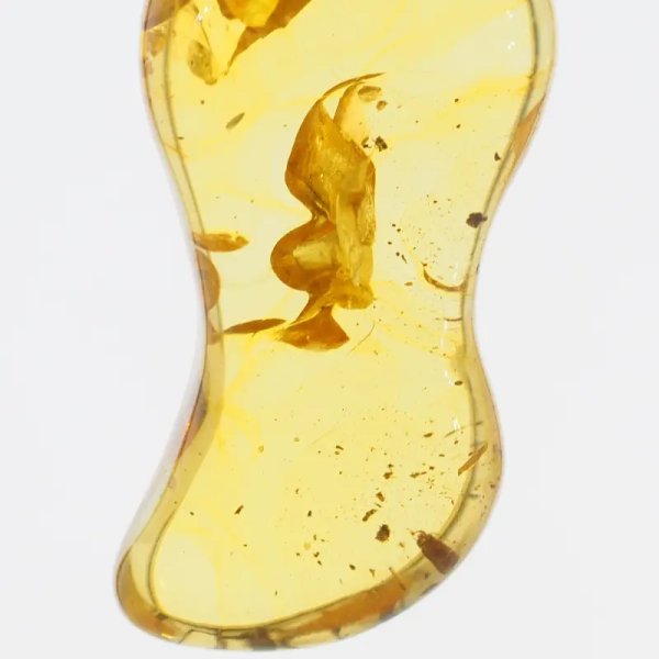 Bursztyn przezroczysty, szczątki roślinne i srebro oksydowane - zawieszka