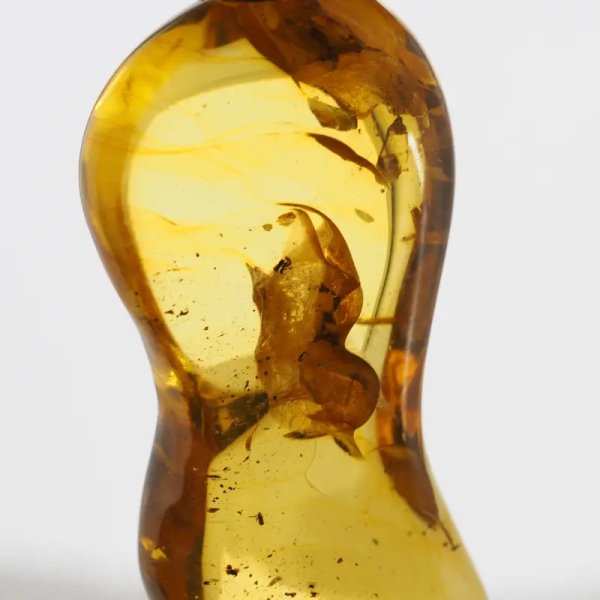 Bursztyn przezroczysty, szczątki roślinne i srebro oksydowane - zawieszka