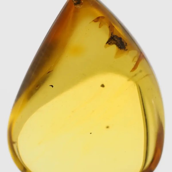 Bursztyn przezroczysty, szczątki organiczne i srebro oksydowane - zawieszka łza