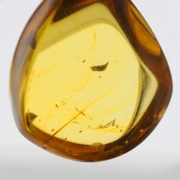 Bursztyn przezroczysty, szczątki organiczne i srebro oksydowane - zawieszka