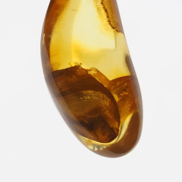 Bursztyn przezroczysty, szczątki roślinne i srebro oksydowane - zawieszka