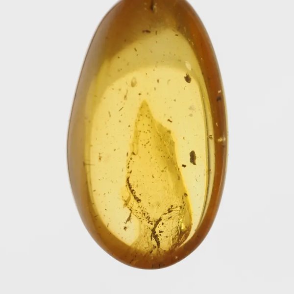 Bursztyn przezroczysty, szczątki organiczne i srebro oksydowane - zawieszka