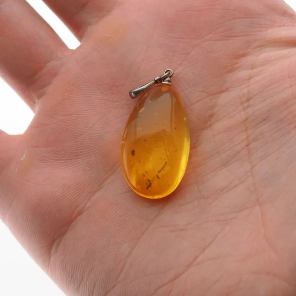 Bursztyn przezroczysty, szczątki organiczne i srebro oksydowane - zawieszka