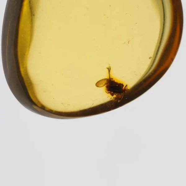 Bursztyn przezroczysty, szczątki roślinne i srebro oksydowane - zawieszka łza