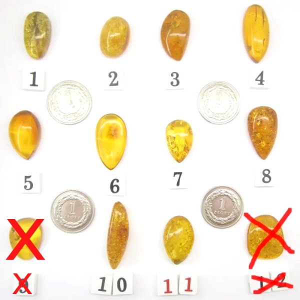 Koniakowy Bursztyn z łuskami