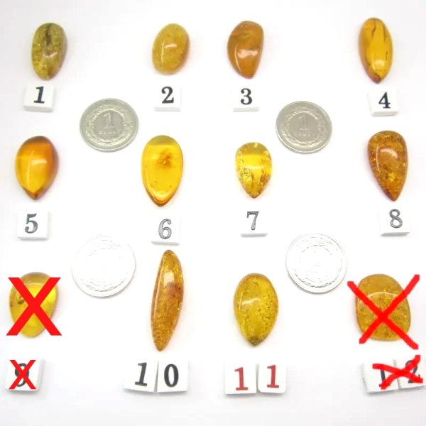 Koniakowy Bursztyn z łuskami