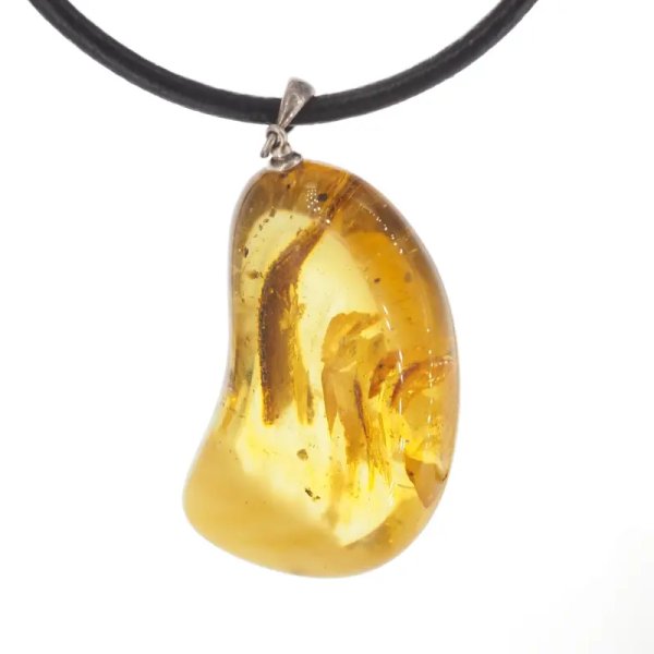 Bursztyn ze szczątkami organicznymi i srebro oksydowane - naszyjnik na rzemieniu