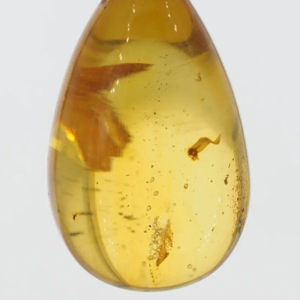 Pęcherzyki powietrza, szczątki organiczne w transparentnym bursztynie i srebro - naszyjnik na rzemieniu