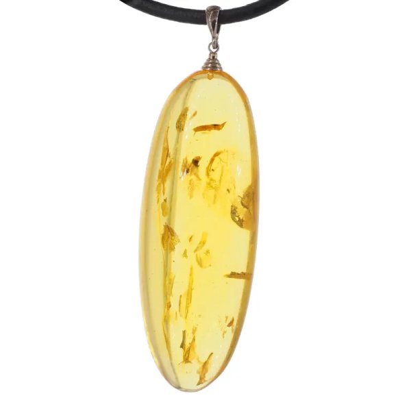 Szczątki organiczne w transparentnym bursztynie i srebro - naszyjnik na rzemieniu