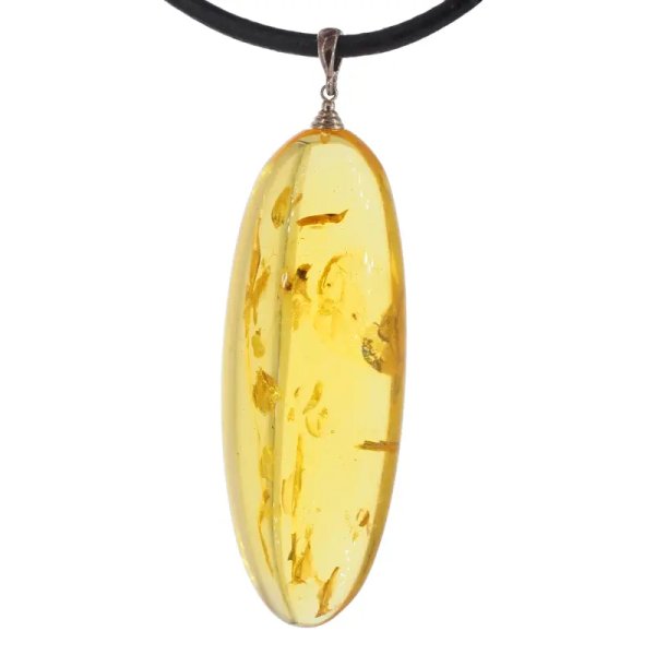 Szczątki organiczne w transparentnym bursztynie i srebro - naszyjnik na rzemieniu