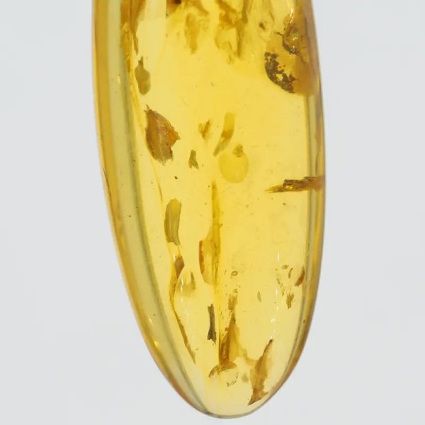 Szczątki organiczne w transparentnym bursztynie i srebro - naszyjnik na rzemieniu