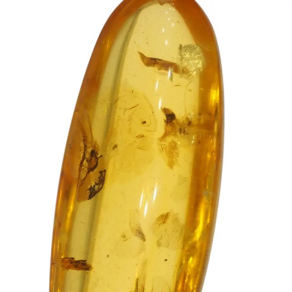 Szczątki organiczne w transparentnym bursztynie i srebro - naszyjnik na rzemieniu