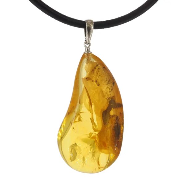 Szczątki organiczne w transparentnym bursztynie i srebro - naszyjnik na rzemieniu