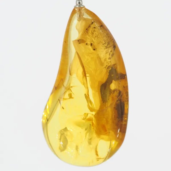 Szczątki organiczne w transparentnym bursztynie i srebro - naszyjnik na rzemieniu