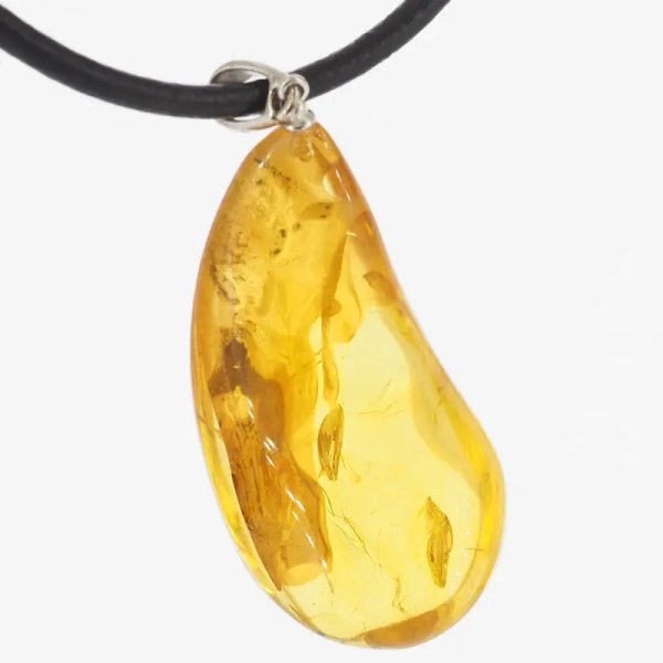 Szczątki organiczne w transparentnym bursztynie i srebro - naszyjnik na rzemieniu