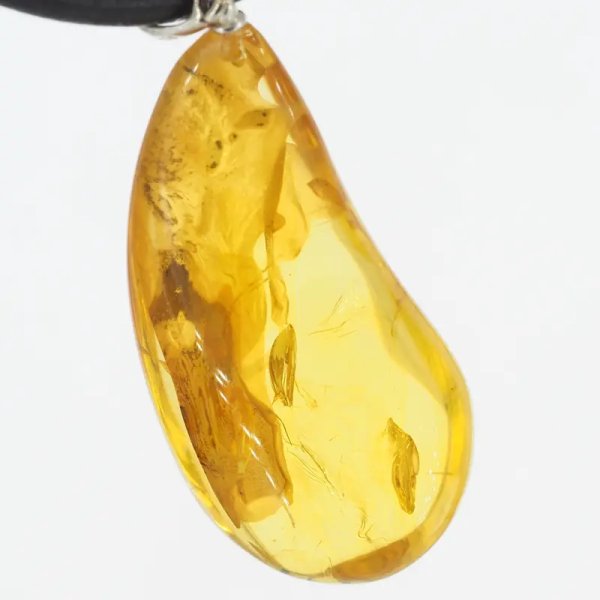 Szczątki organiczne w transparentnym bursztynie i srebro - naszyjnik na rzemieniu