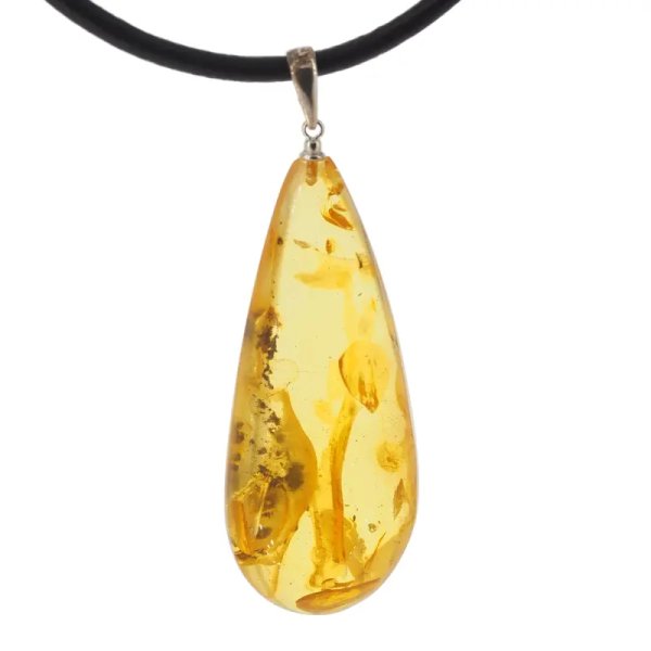 Szczątki organiczne w transparentnym bursztynie i srebro - naszyjnik na rzemieniu