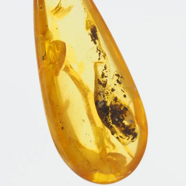 Szczątki organiczne w transparentnym bursztynie i srebro - naszyjnik na rzemieniu