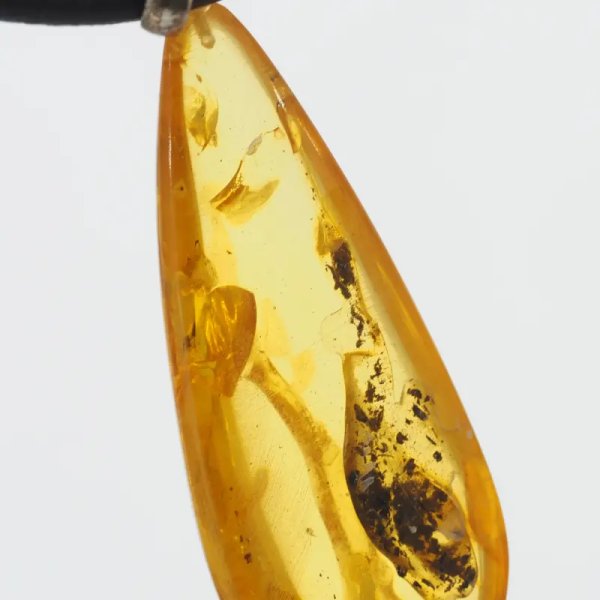 Szczątki organiczne w transparentnym bursztynie i srebro - naszyjnik na rzemieniu