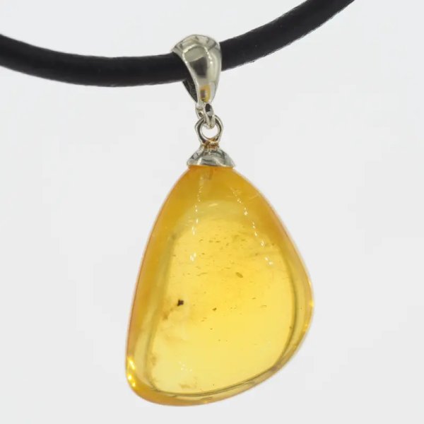 Szczątki organiczne w transparentnym bursztynie i srebro - naszyjnik na rzemieniu