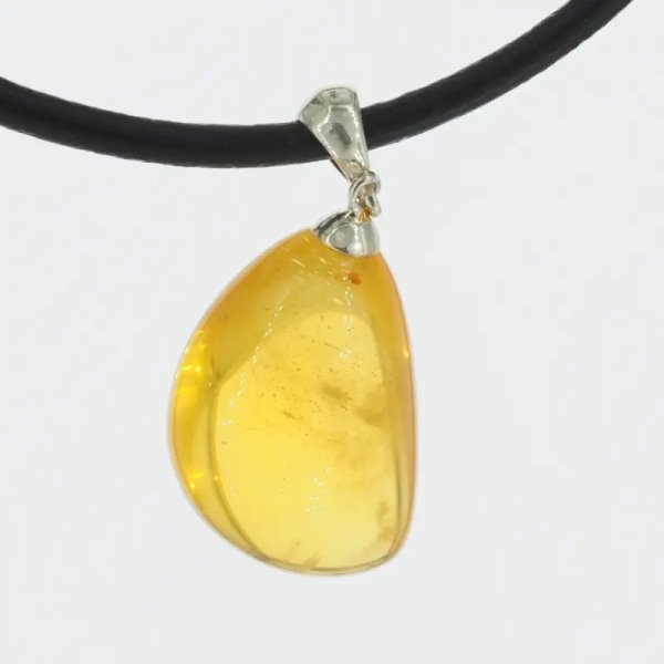 Szczątki organiczne w transparentnym bursztynie i srebro - naszyjnik na rzemieniu