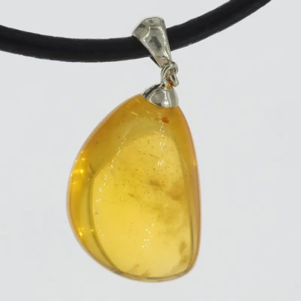 Szczątki organiczne w transparentnym bursztynie i srebro - naszyjnik na rzemieniu